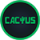 Cactus Casino Review