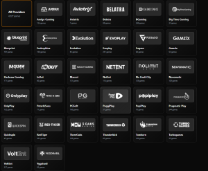 Software Providers