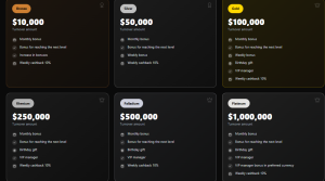 VIP Programme TigerCasino
